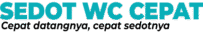 sedotwccepat.com